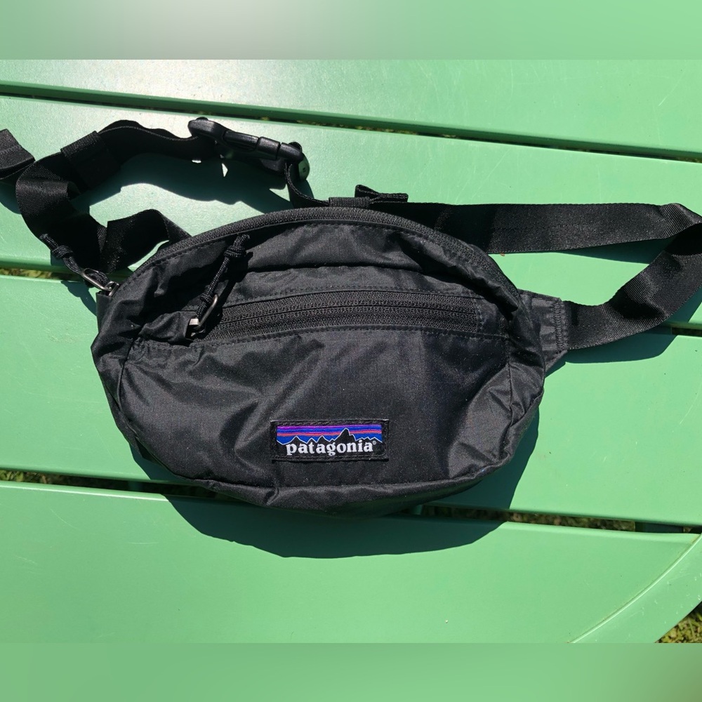 Patagonia Hip Pack - NEW with tags